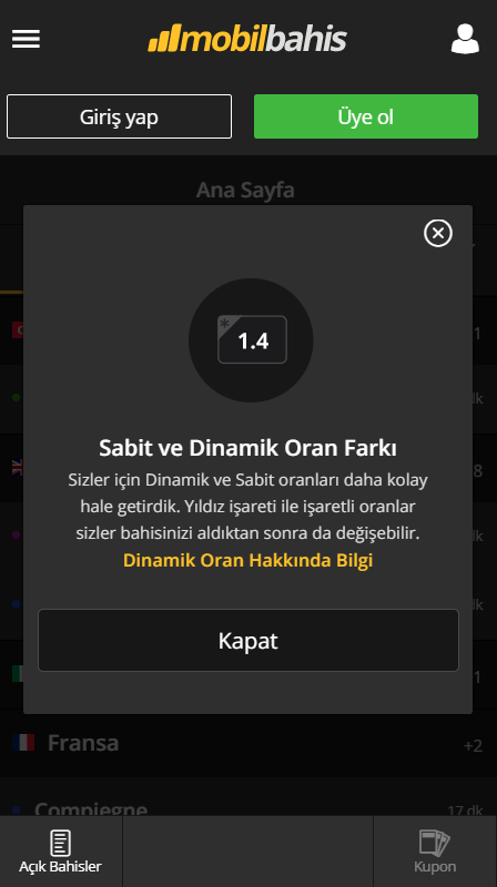 Mobil Bahis At Yarışı Bahisleri Dinamik Oran